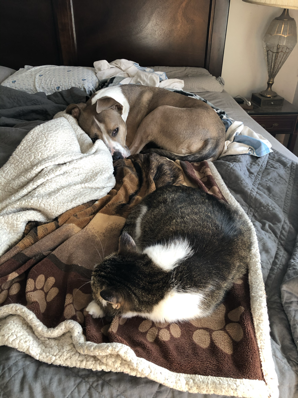 23630f42be83e3ab33b61b3770b8f92cc87962c0