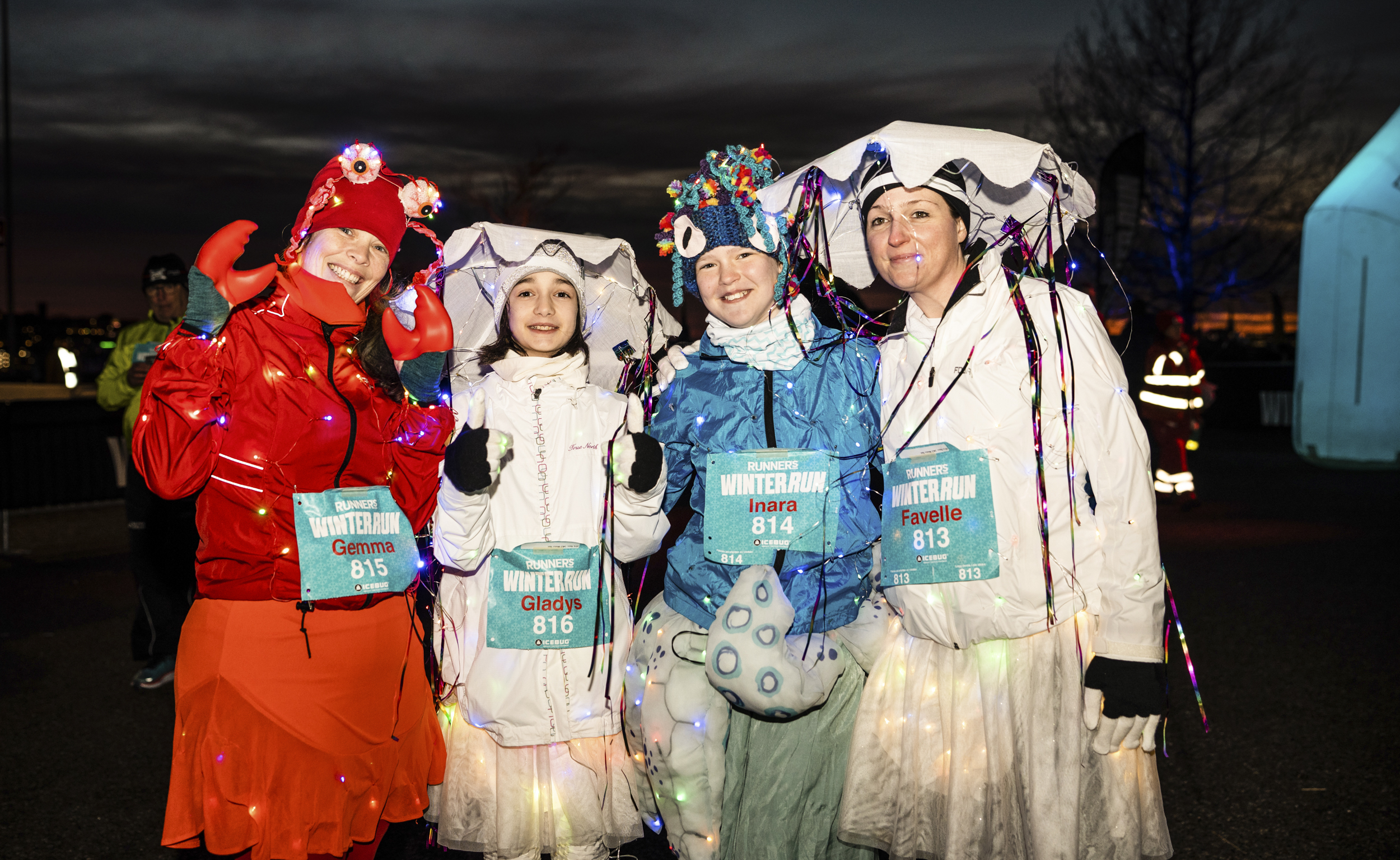 23b69533128b59337debb185059a56b5ffc94461