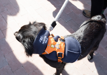 23dd1d8f4744c4f6471e24f4511031a061904a36