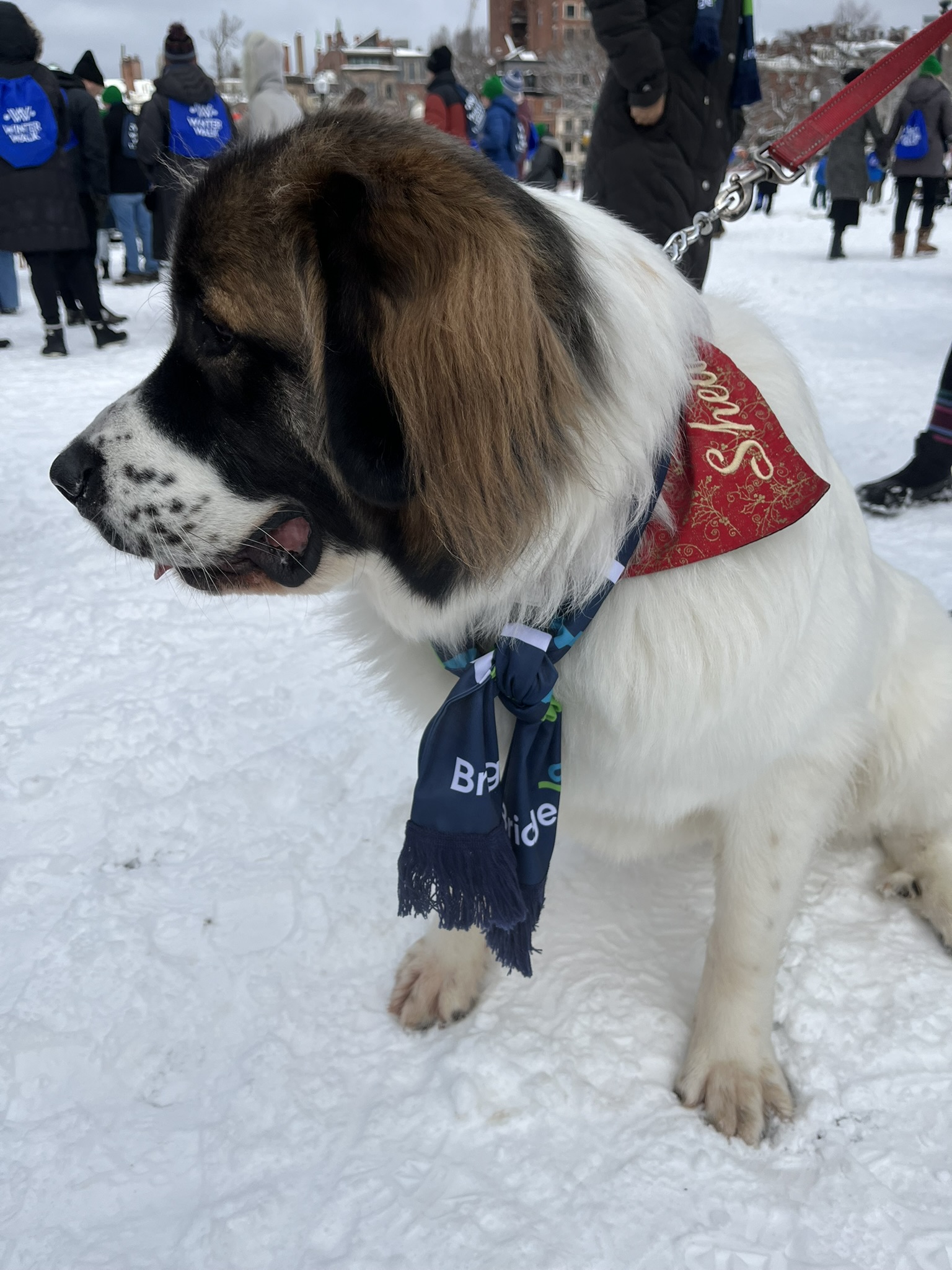 24bc9480bad16078bdbaa180a9cadf05aad2e78e