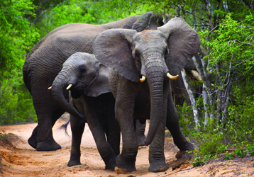 29d96ba39484d29f1dac084e0c626e55d6ea3daf