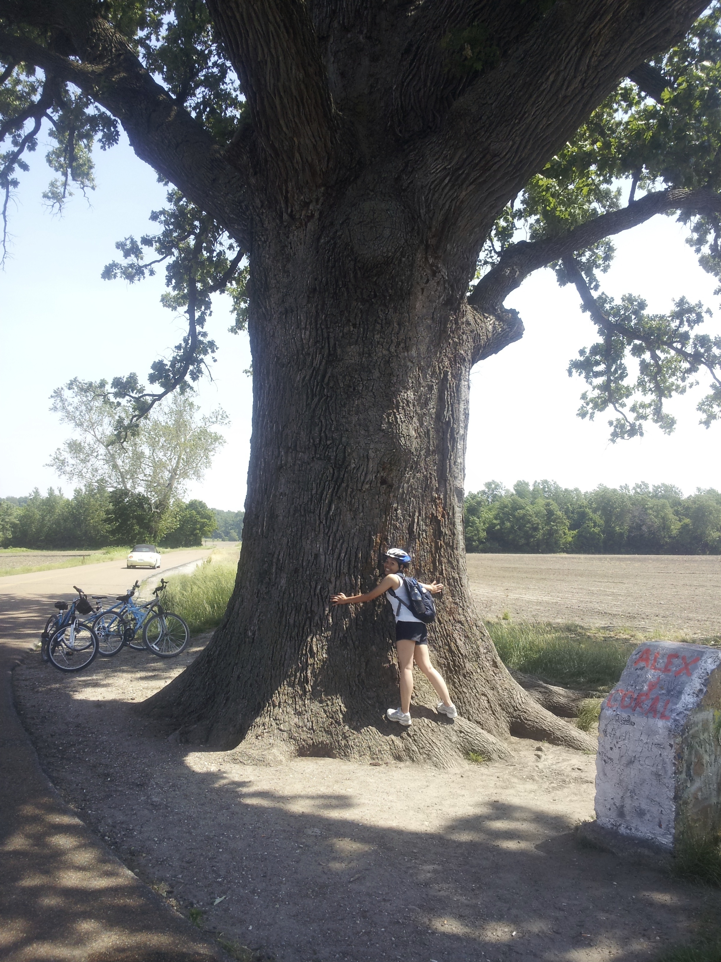 2a6728794c8fffffcfc180d4ffa14bf1cd2e7966