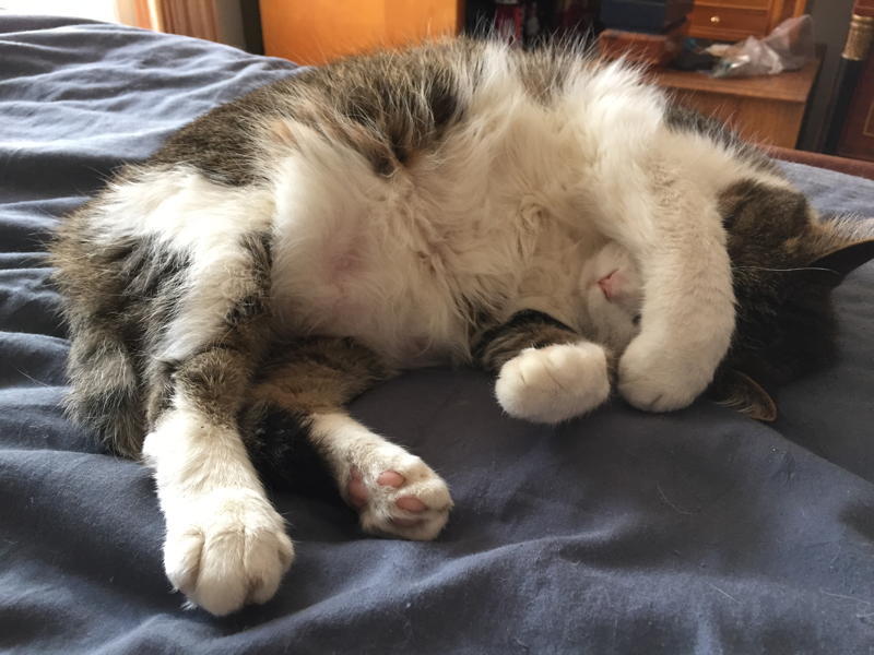 2aa91bb6bb5c80cbbab4e42f1392fe8425a24323