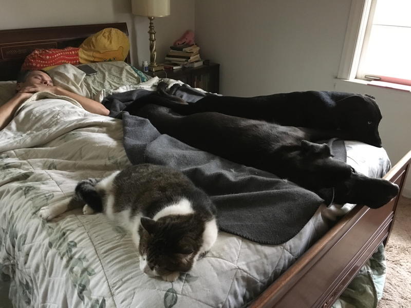 2d1309d393796309b0f6a5e36696f8ded69a38c8