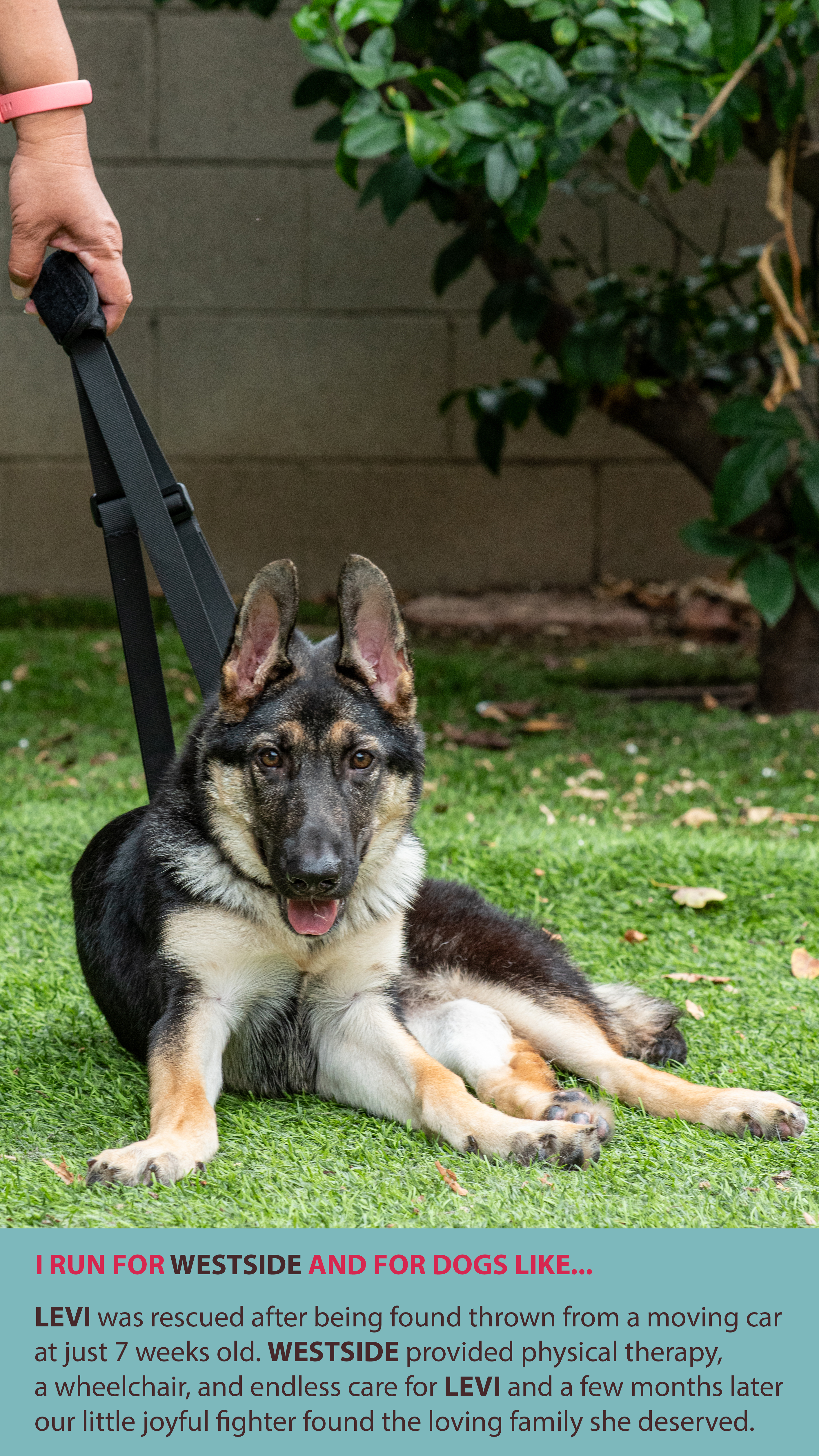 2ea977d1396a12a16bab3433a65850eba61c3e11