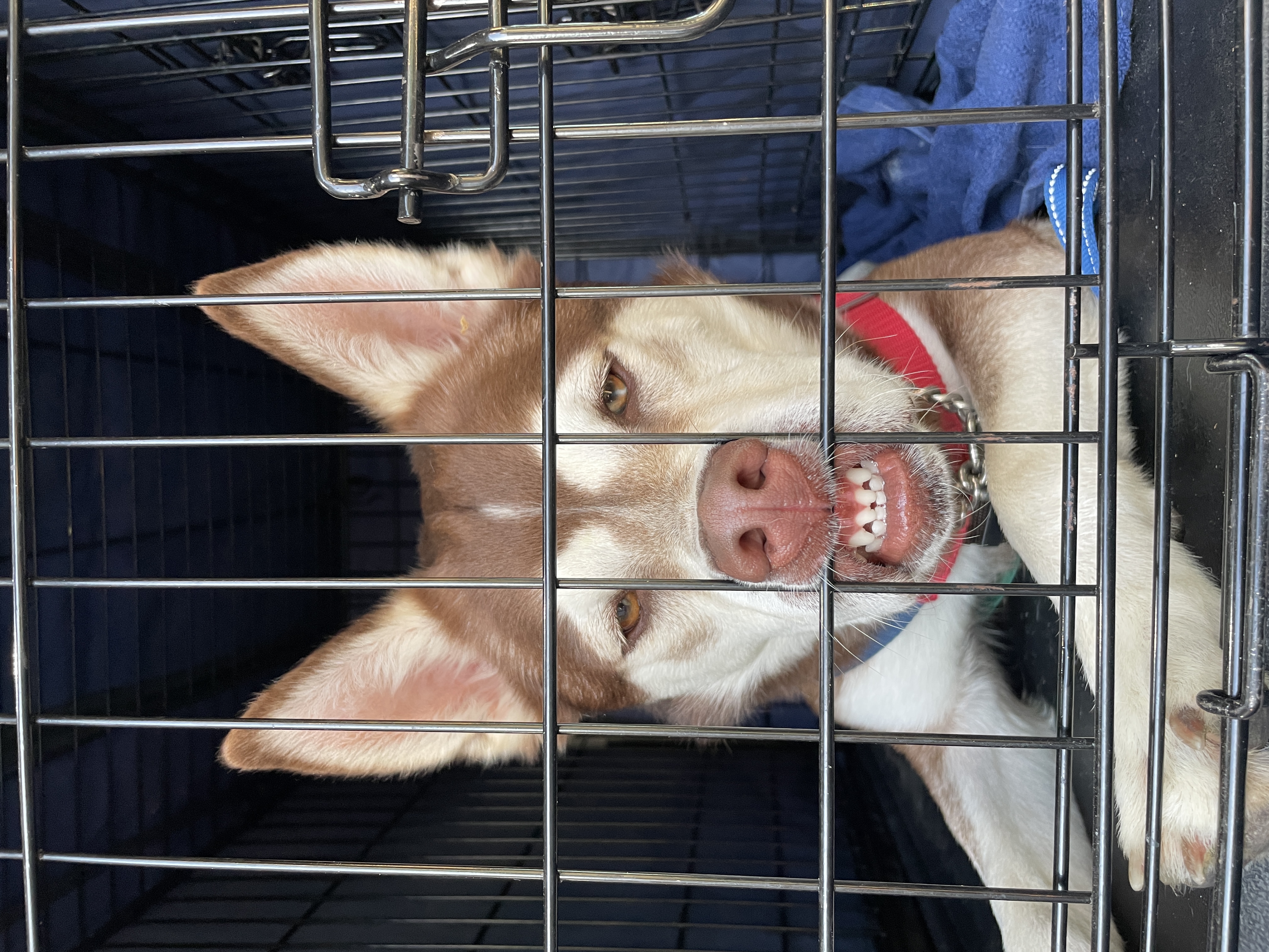 2f771f2695f59a2f87115d21c7f4ce9a6cf6f336