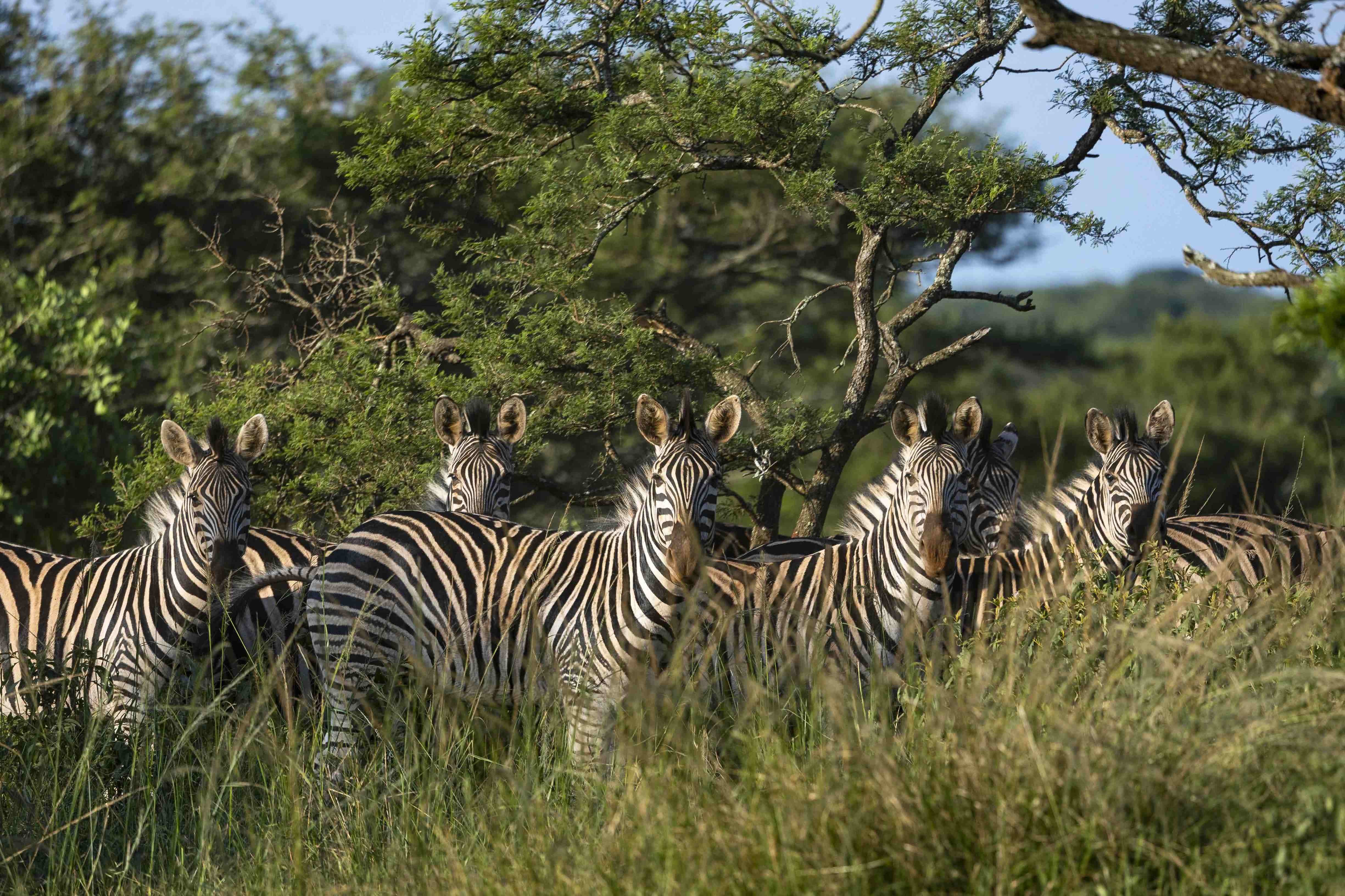 3137a46898a56680d7cd2dabf7a2c29bf31a415d