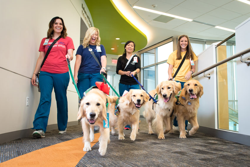 315b925e26409448991afff2c3c34a1251978596