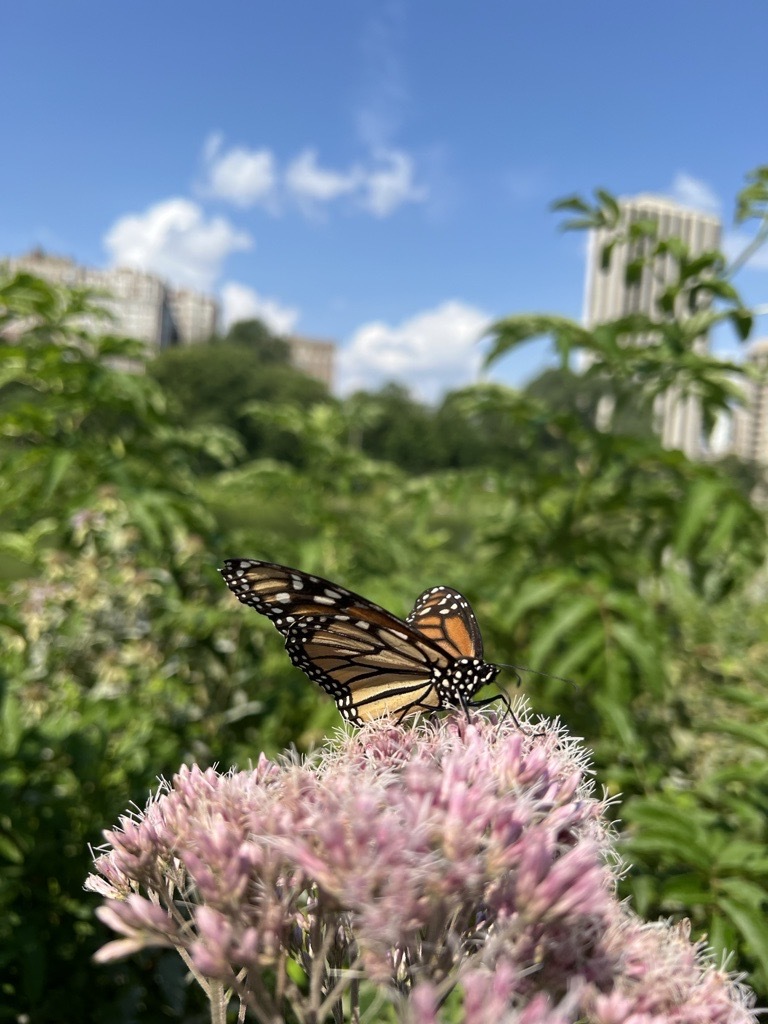 319fc3b055f13a5b23d91bc67b1791a4f8dc235d