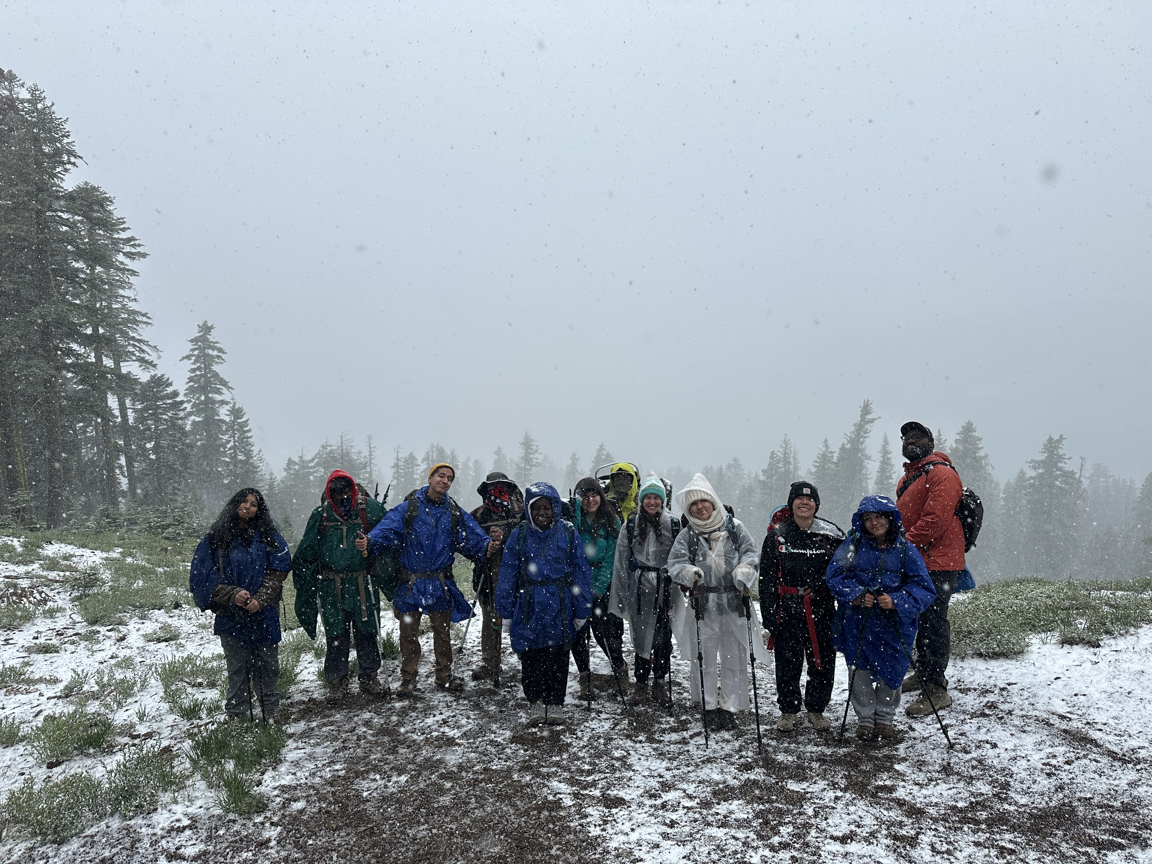 32990722cbf34da4424683500b195dbe778172c7