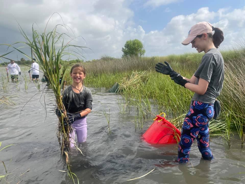 3339e00ed4b82eb3cb8a643d680d0b9307ec7986