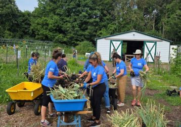 339a5b1facae23b91bffc9fa8135c49ad7205a51