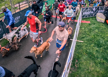 BF Goodrich Rocky Dog Fun Run