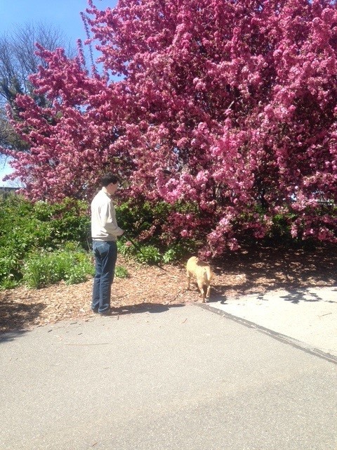 35c4a4ed01434dfdf7527812505989a9a48341b3