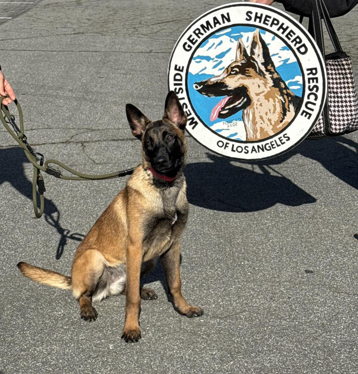 38c122eba9152d2afd675536d52459e2c9c4d7b7