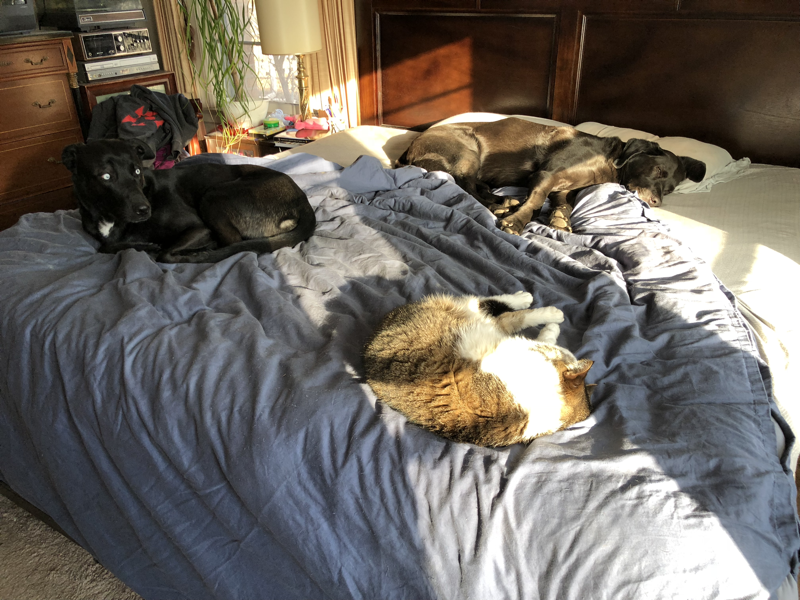 39eeb1c652600817698514c2d886093318393396