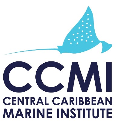 3ba233529effed5832b9320250d973e91ede46fc