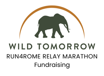 Wild Tomorrow - RUN4ROME Relay Marathon Fundraising (copy)