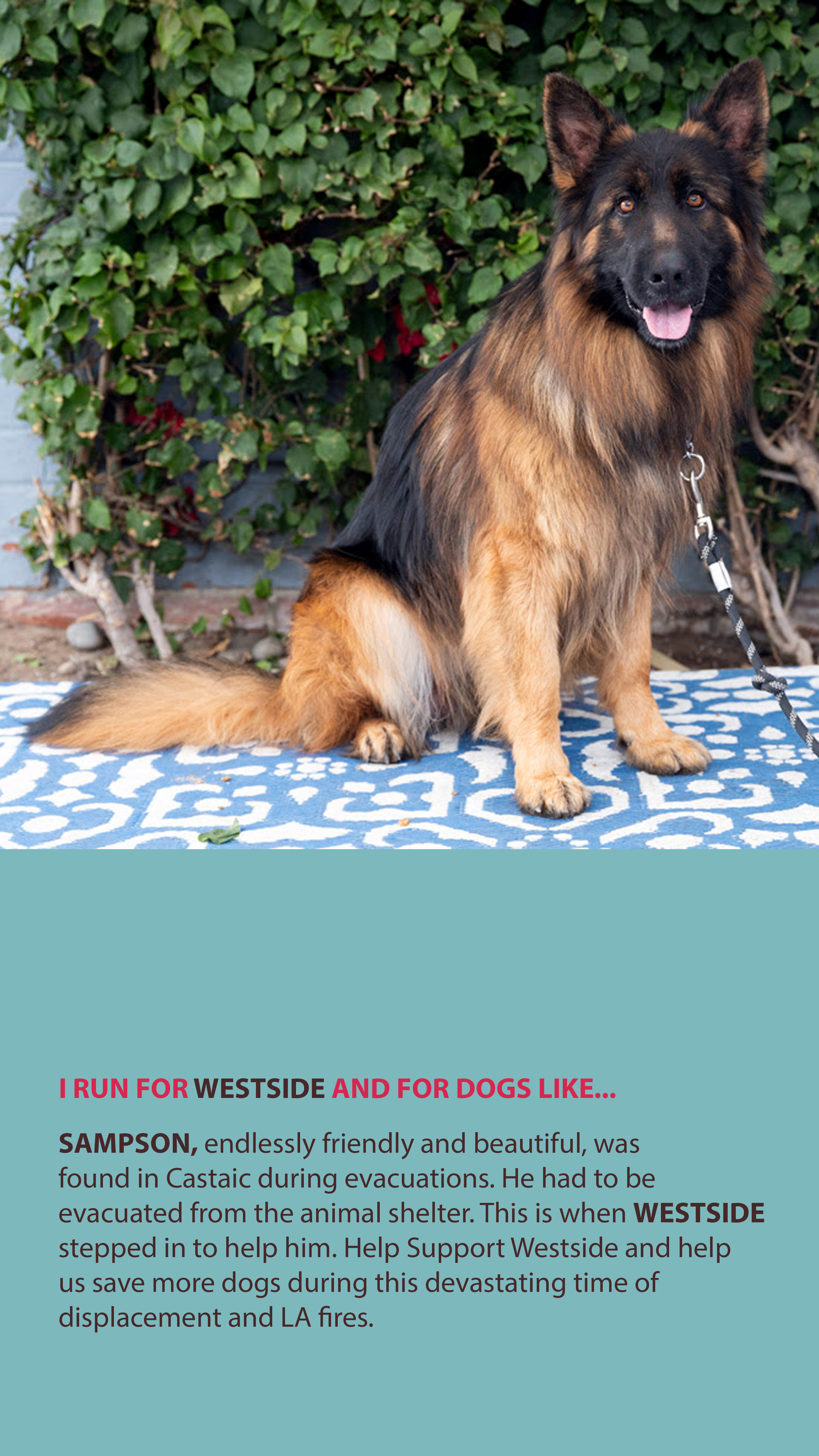 3f04329cf7557c586e49cc521cee4cc8d38a715a