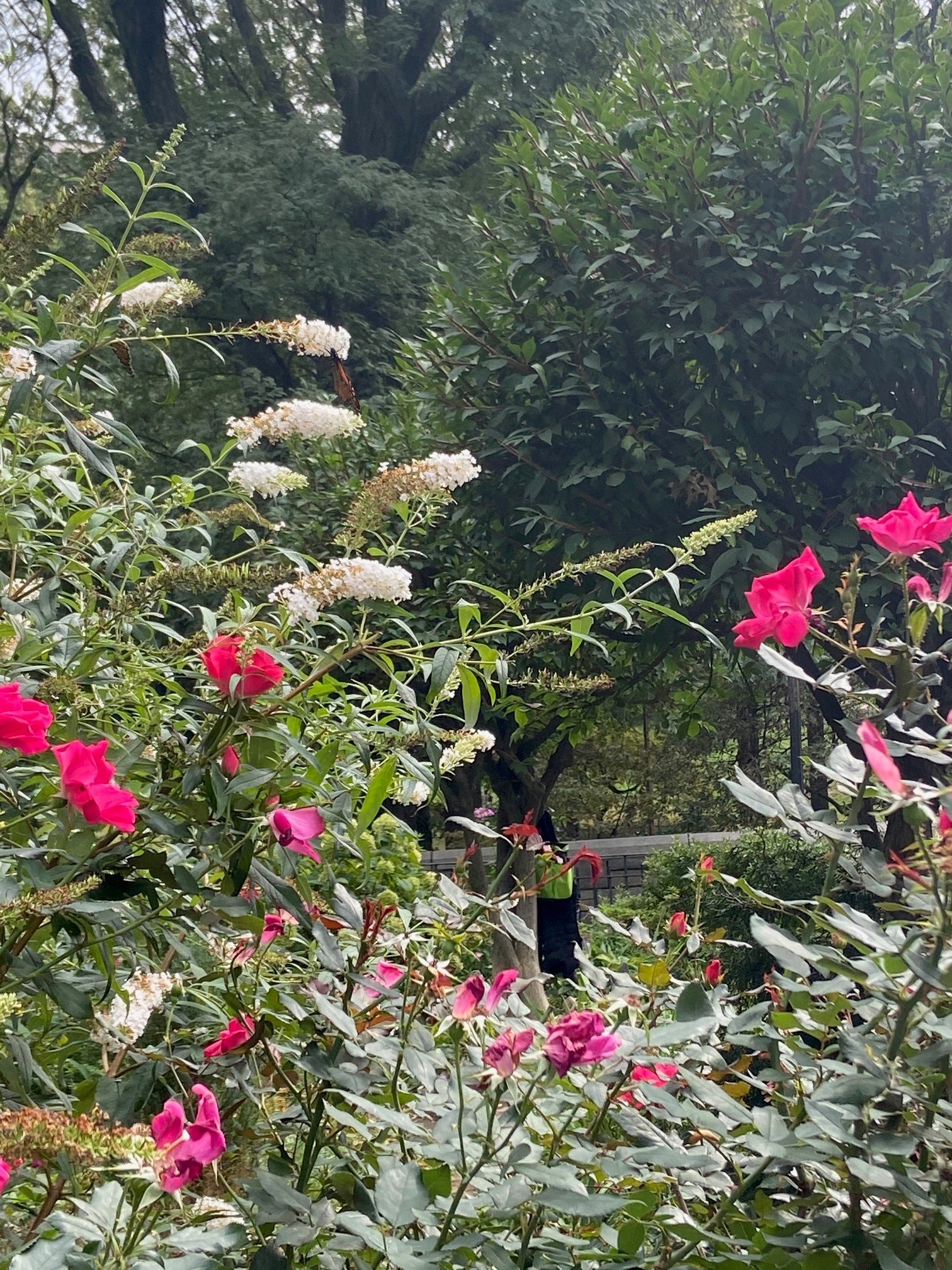 3ff49f7d80acc13fd2f3f55dffc9d1b58f137935