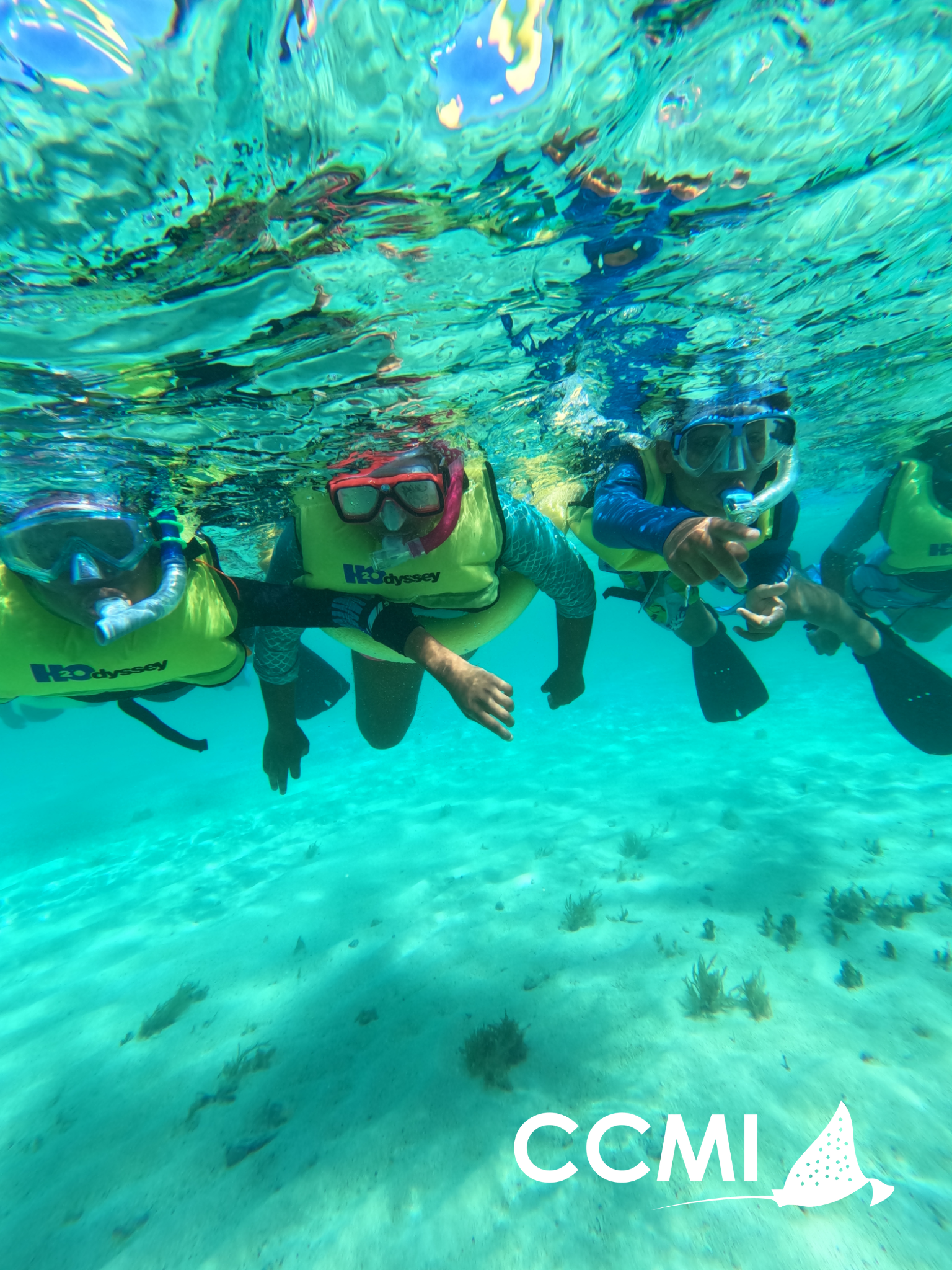 40ce0e705aaccd0adac53044b1f7af99ff0e68dc