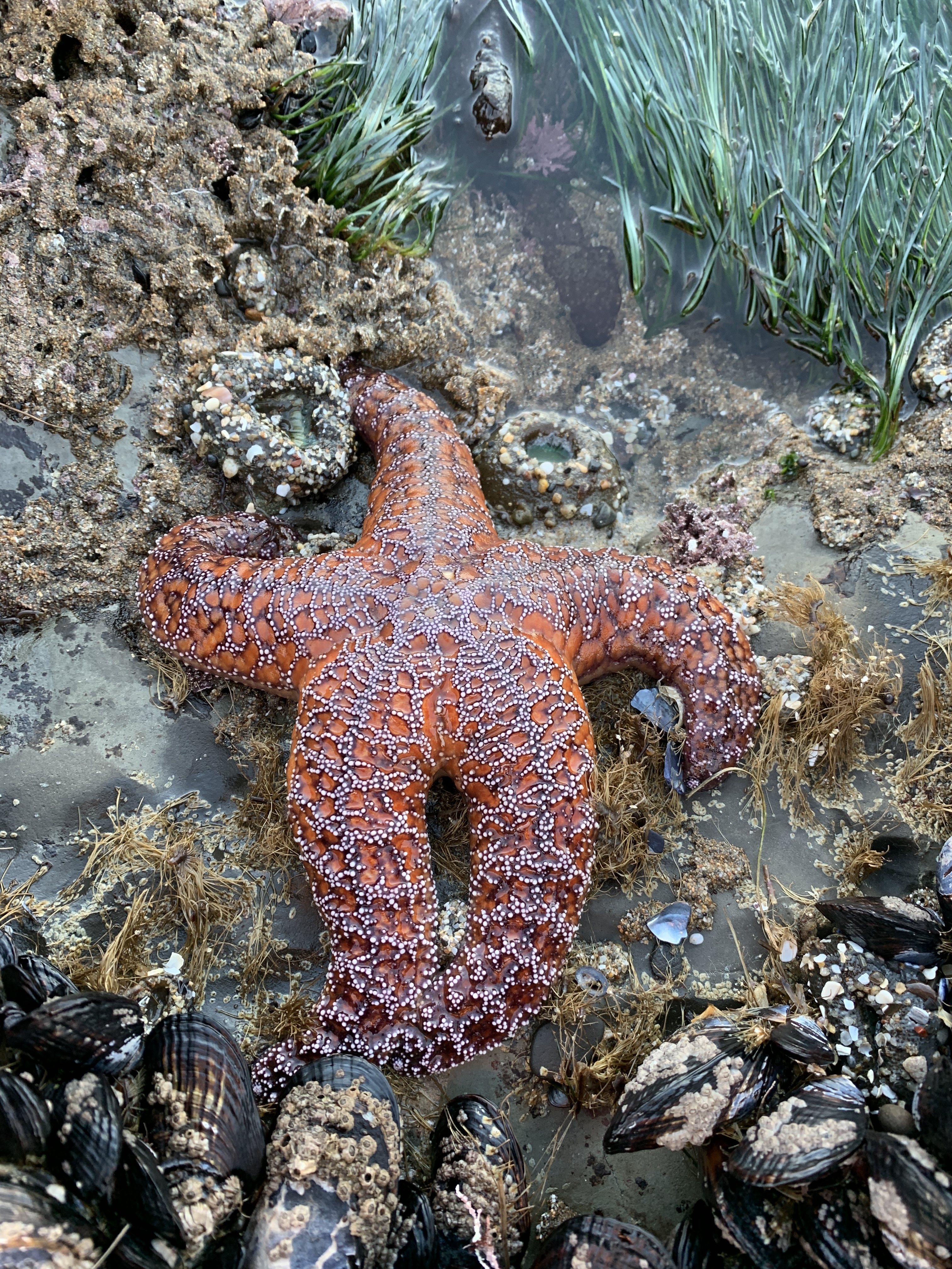 422adba05a5b7d3bec73eb286022c644e5835635