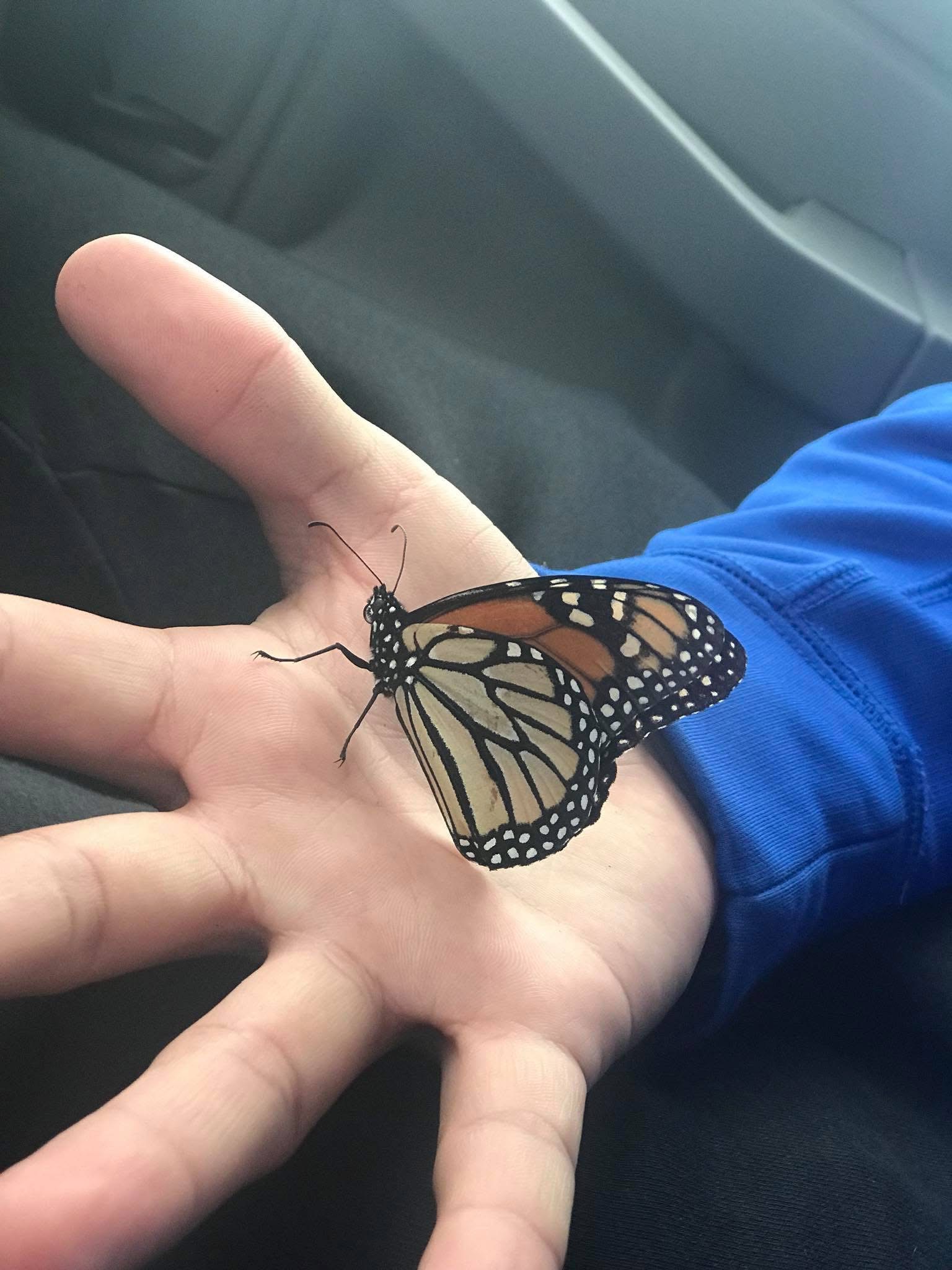 423e5899189b7a14edd0265d6e4df1e4d608adf9