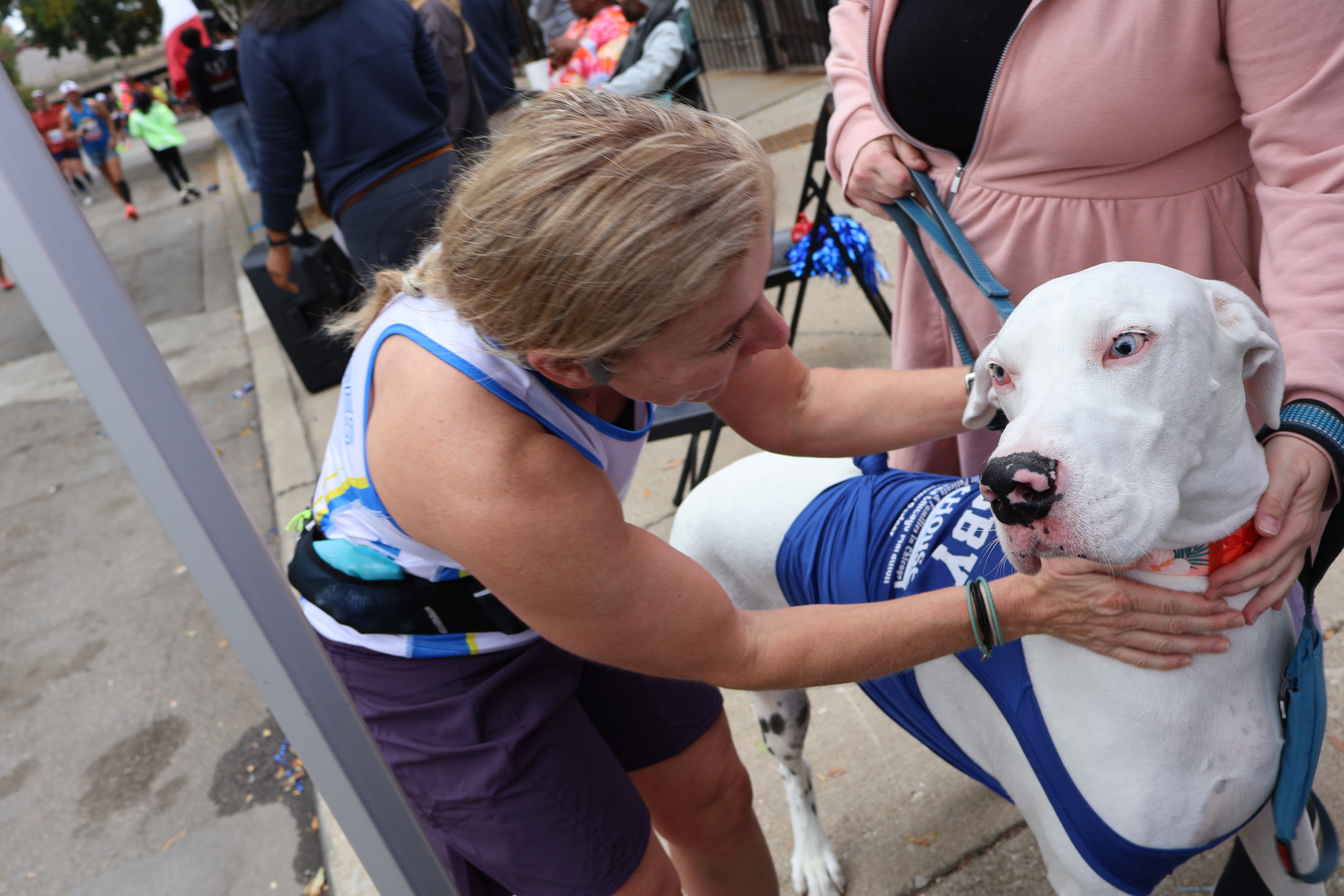 448fd26b77eeaadea69106b43bb2310c3d609803