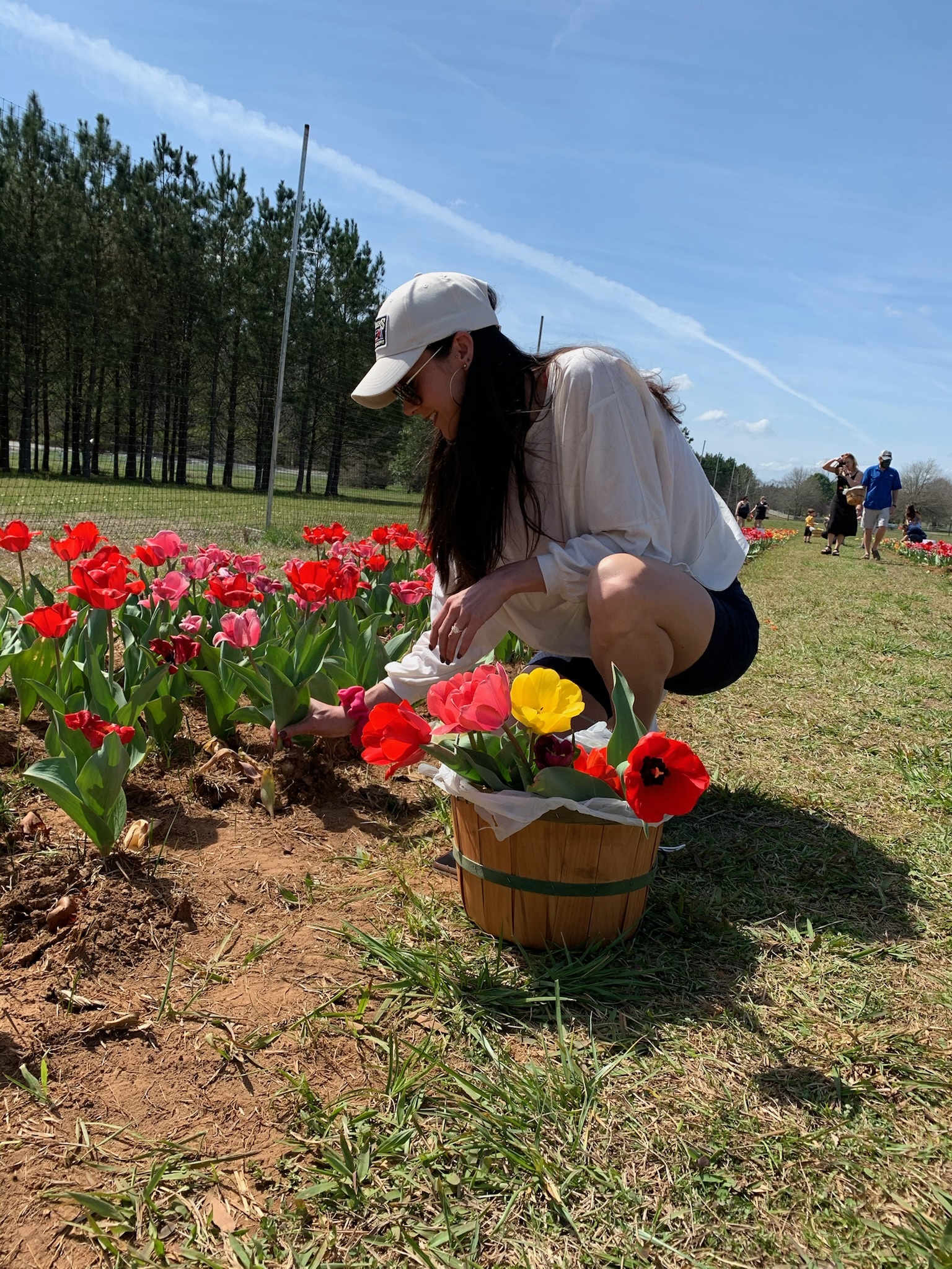 44fb23a3ee616edbecad184ed851f0d3aaa1326a