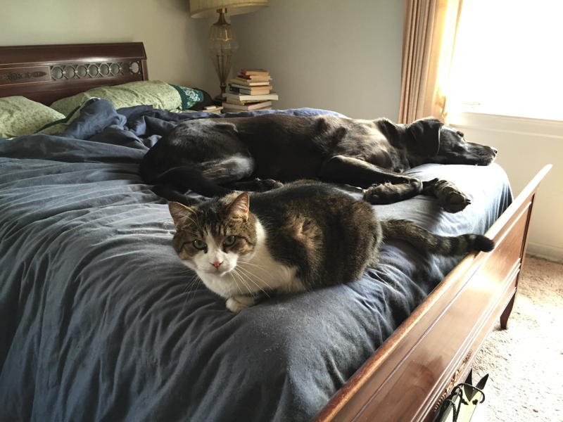 4582d8efe4492d9943caa24f4fe36f0cdbc6d2d1