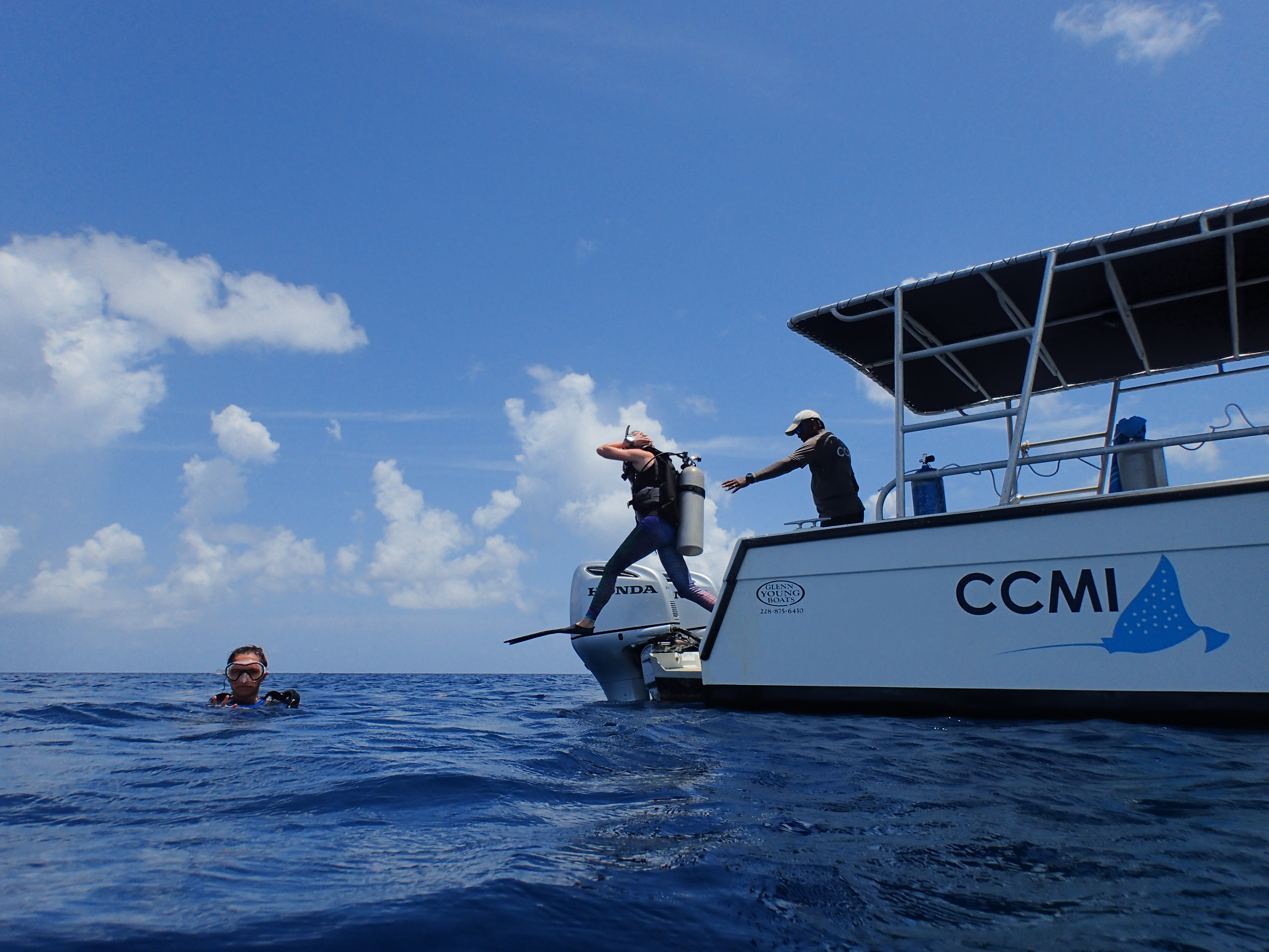 493d72aaea41ae7214e28d3722cc2267ab2080d3