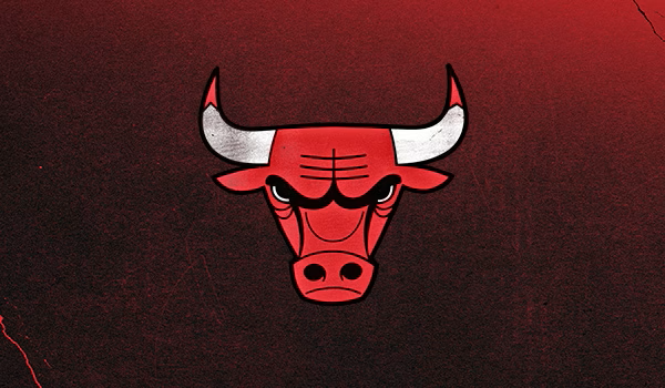 Chicago Bulls Logo