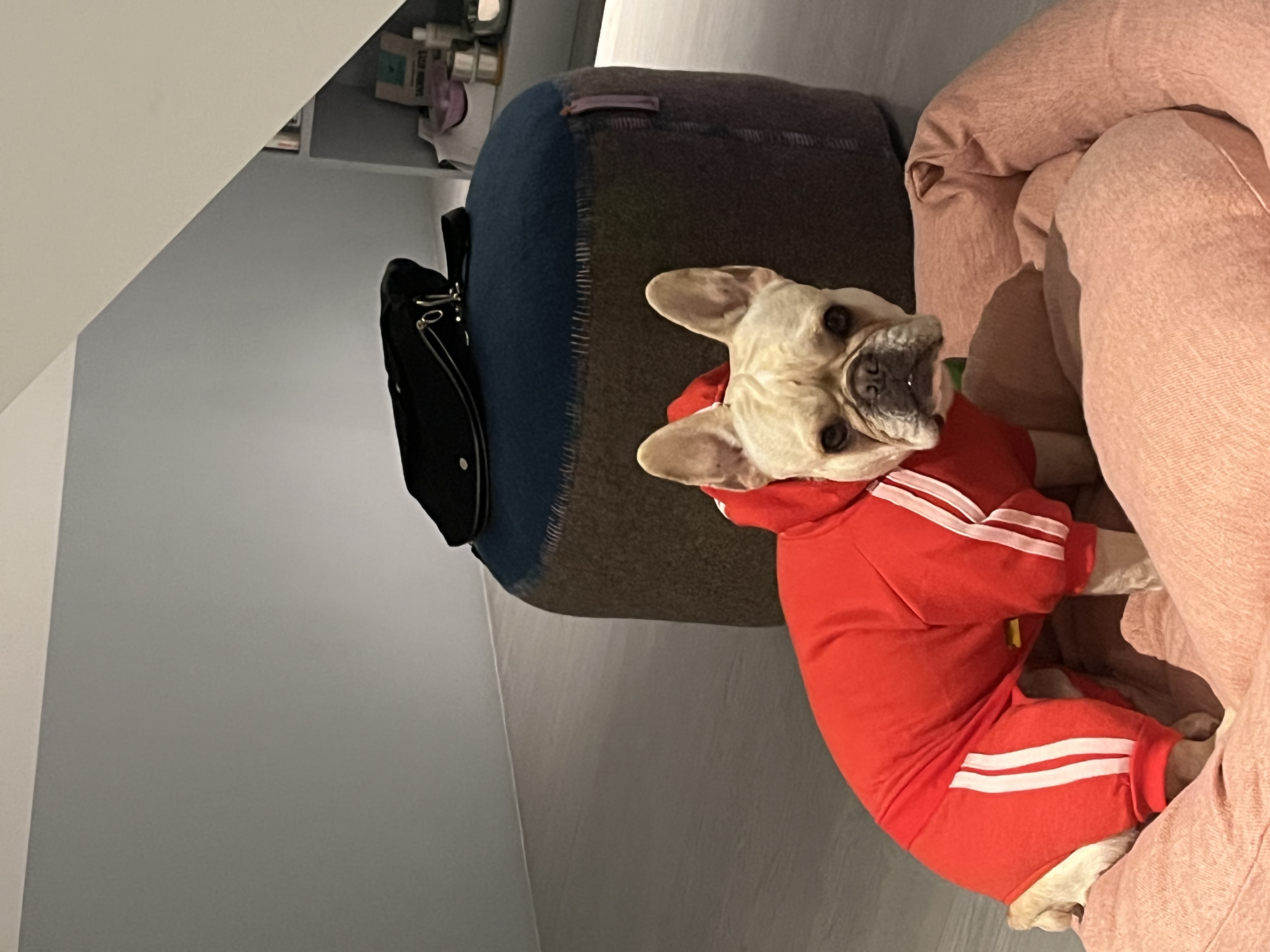 Brian's Fundraising Page