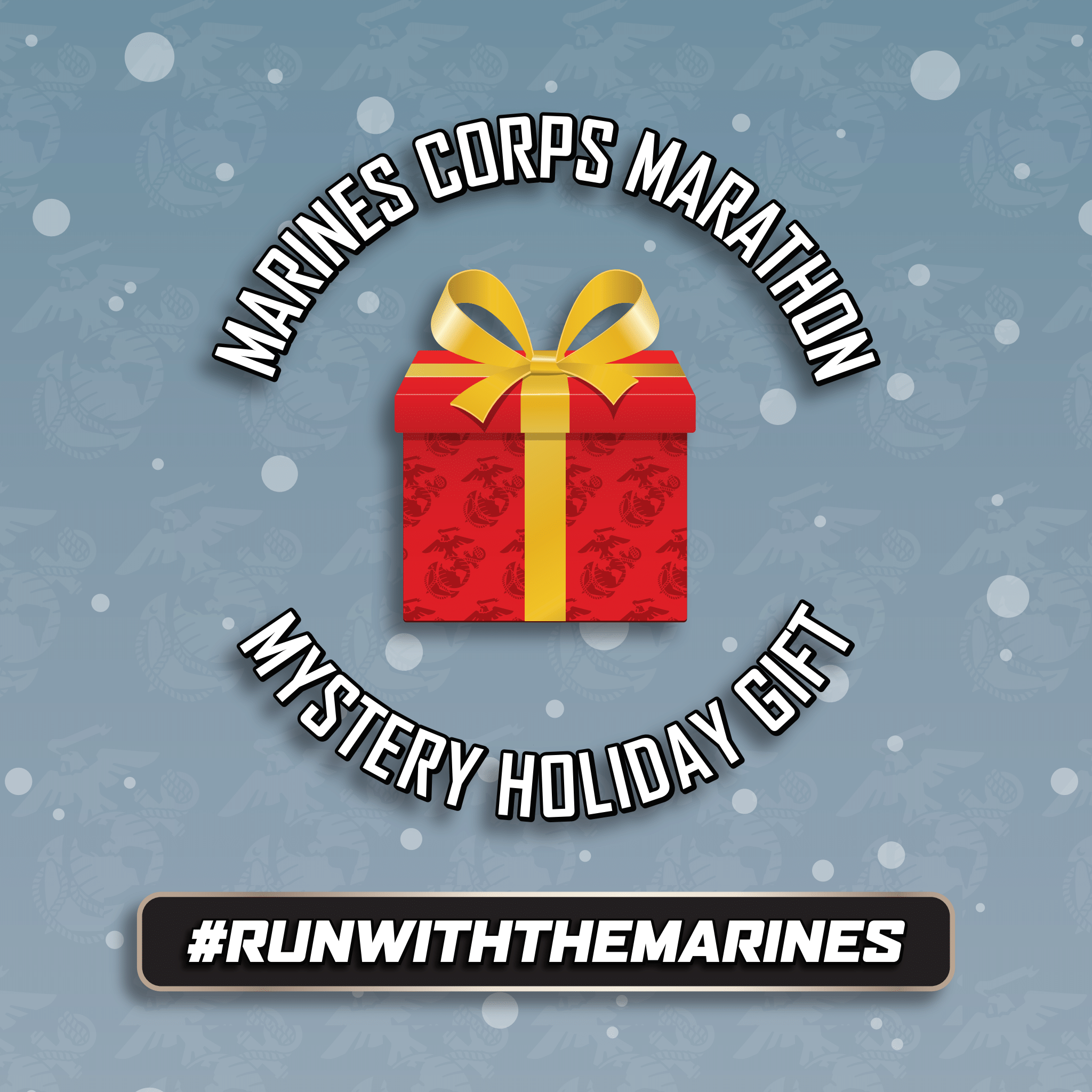 Mystery Holiday Gift Registration