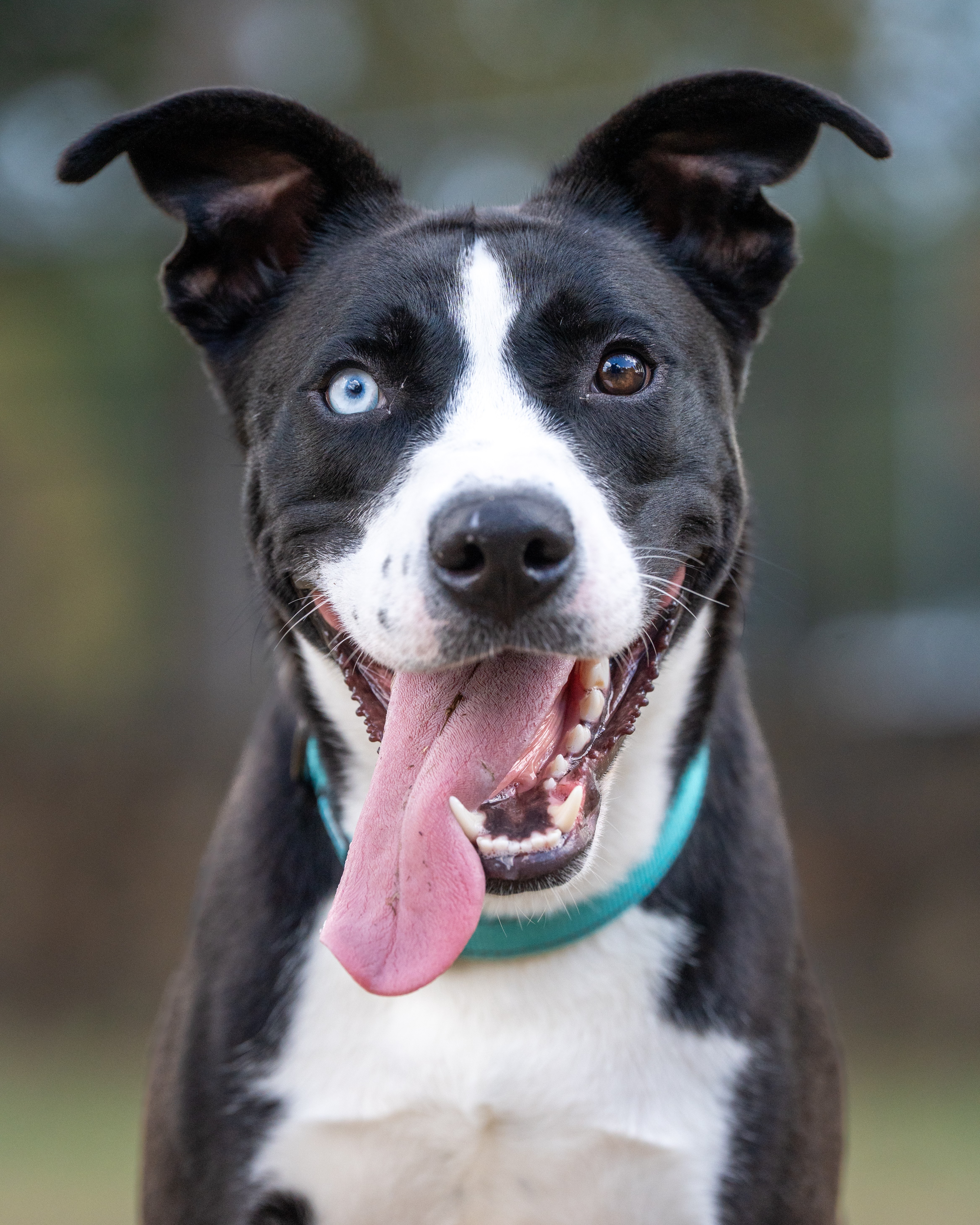 5145f625f2aeefab9ff3a80ca9dee7eeba681b9b