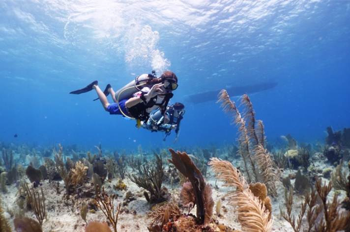 51e13207d848fedf09aab8bed44f60fc20fb8bfb