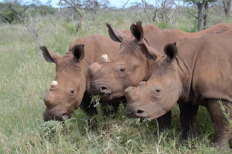 51f2b8d95c22749182ac6953086ec9ccb0340f1f