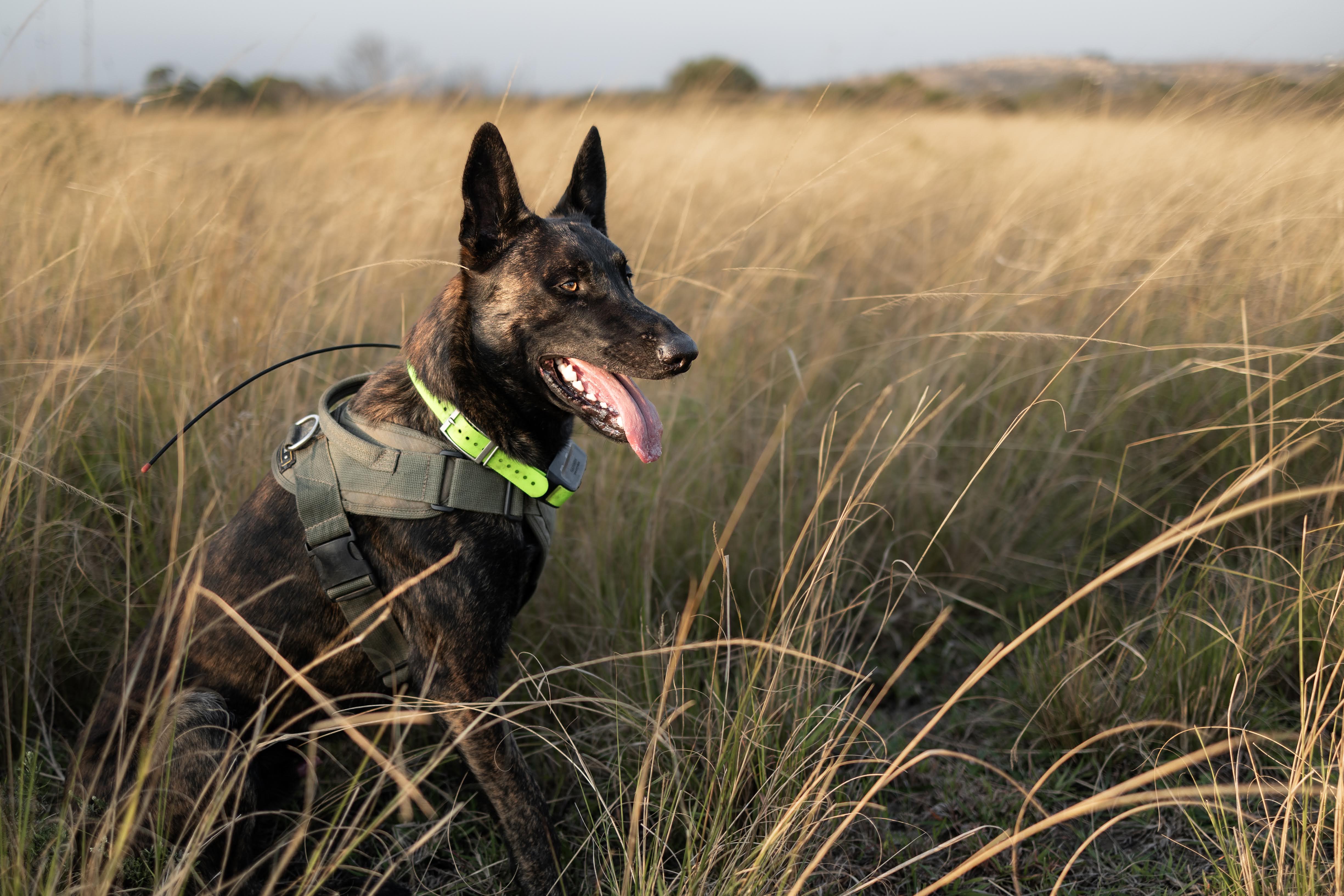 5250b3fe0b4d2f414f2a5666e74f213d09e59c58