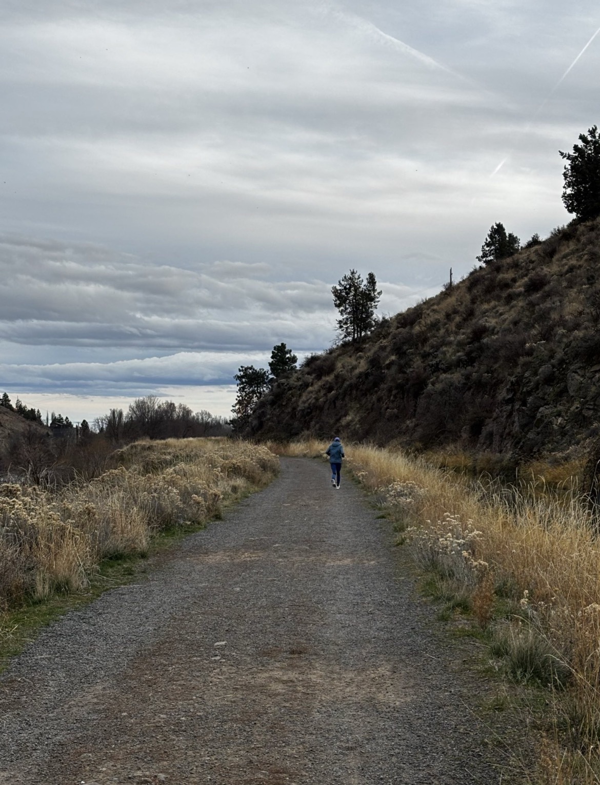 54ebe026ff99c5333d3767db238b6ddf5f363d5a