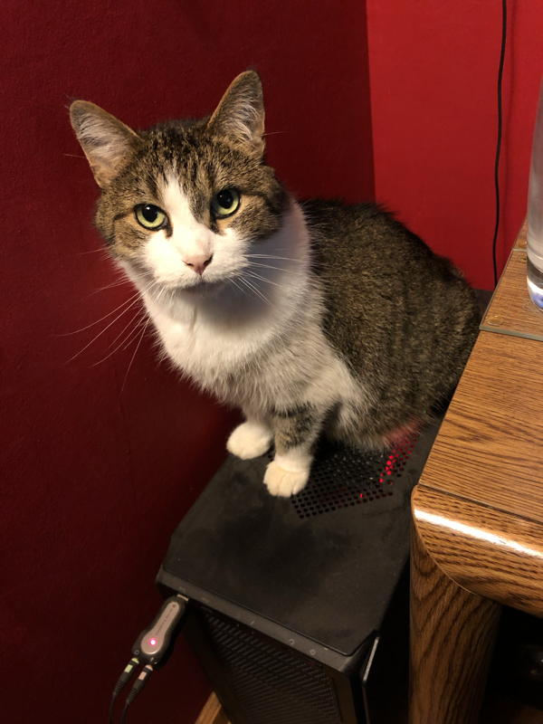 559d18753f303f4b11ff561f134b5732c5bdeff7