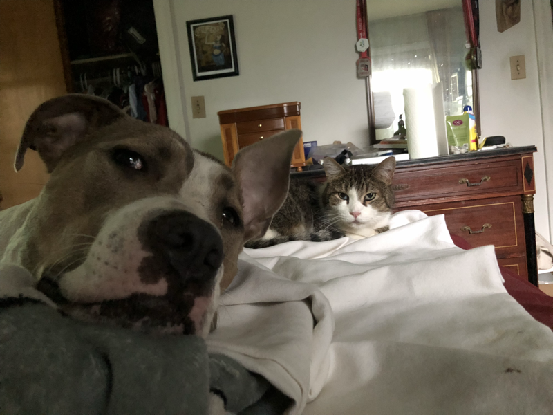 58e73f28a446f55509bb4b324a9b6e0d27cfdbbd