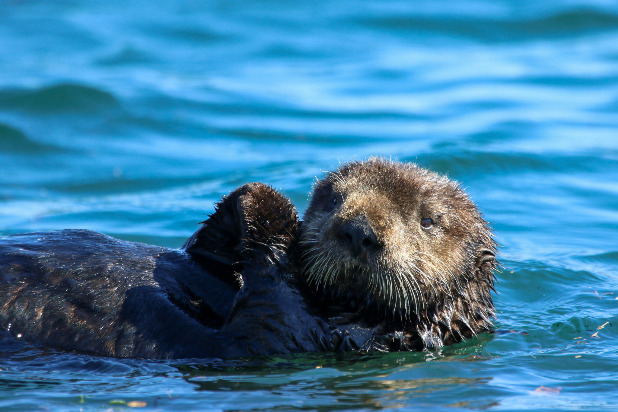 5b9da8f930e8bab51dadfb37f42f4f93342c431f