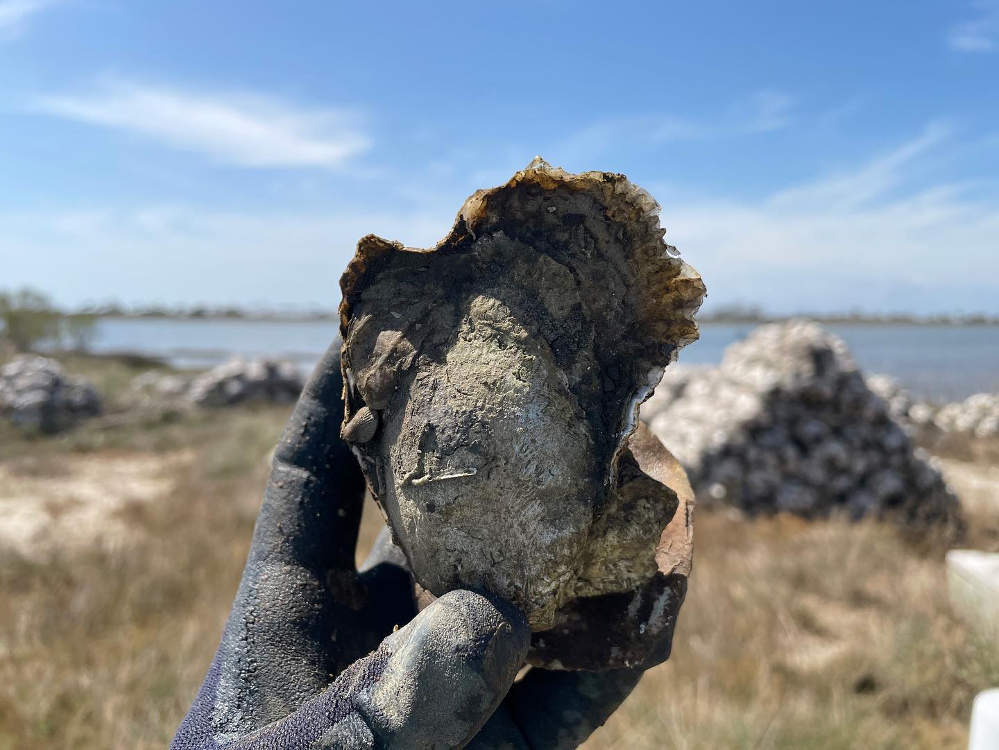 5c333ba1cbb3d2abf61f765f894c63cde07ecfa4