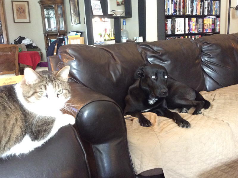 5d15ea1bb34fc3689c91bdf24e0b58f381dacc30