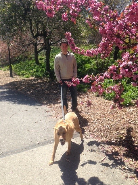 5d834e1ac663cd29c526f6bd1f36fcbd05cbcbb8