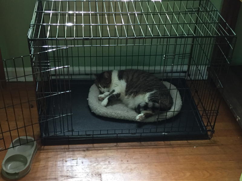 5db43b145c25f353aa2900d355cb3a449c491e85