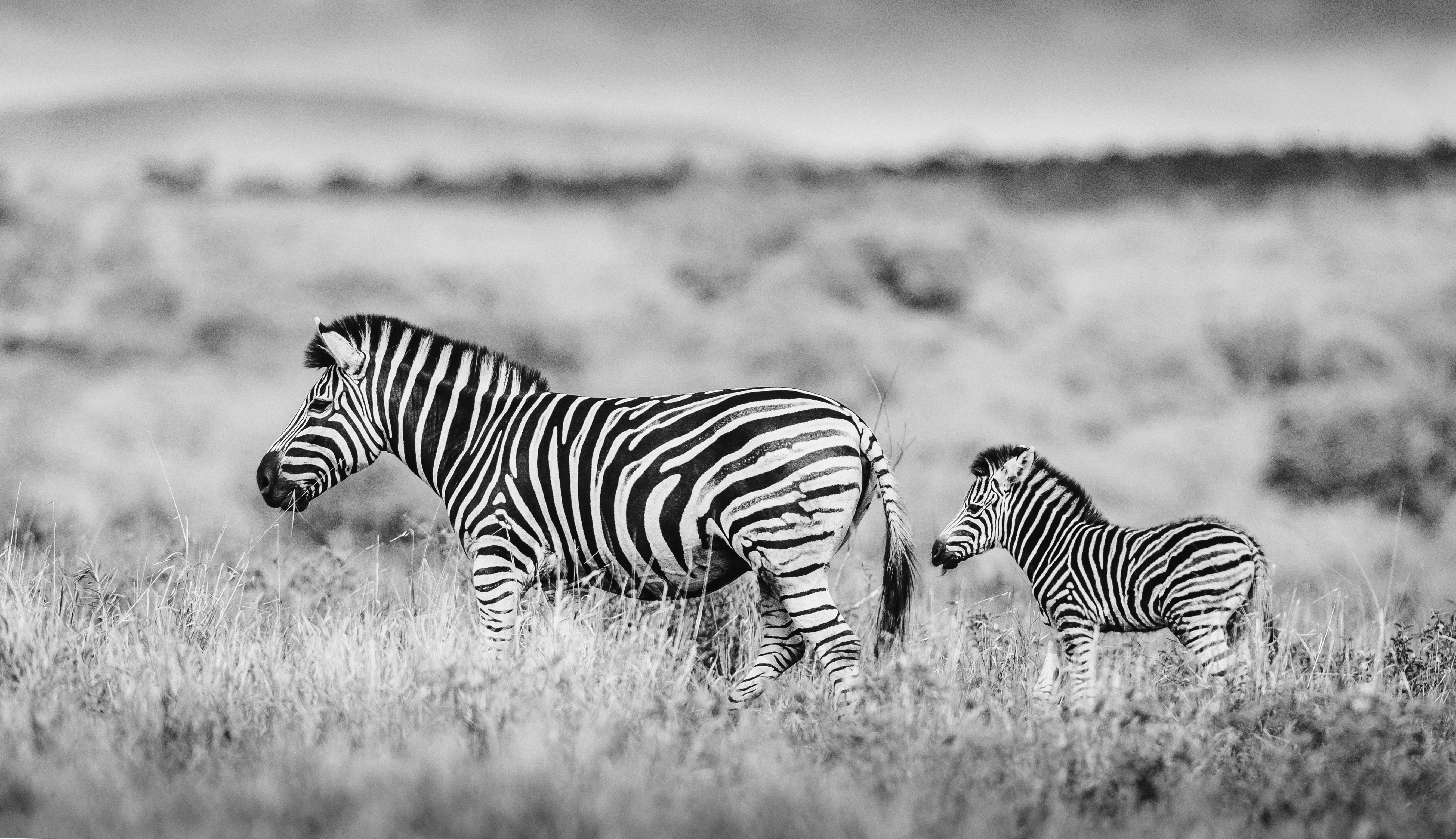 608a3bf1e931bc16a8a457cfb118a76c6f3ded58