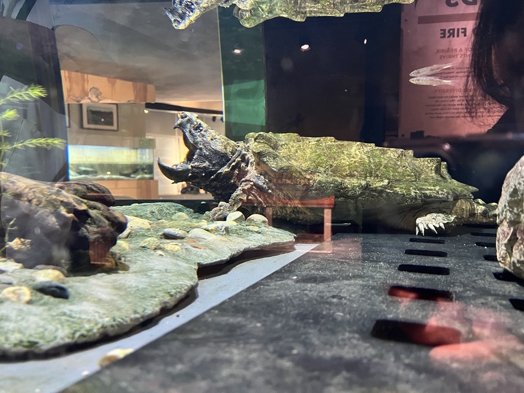 6649641e234f667204b61ea327518e65e4d802e5