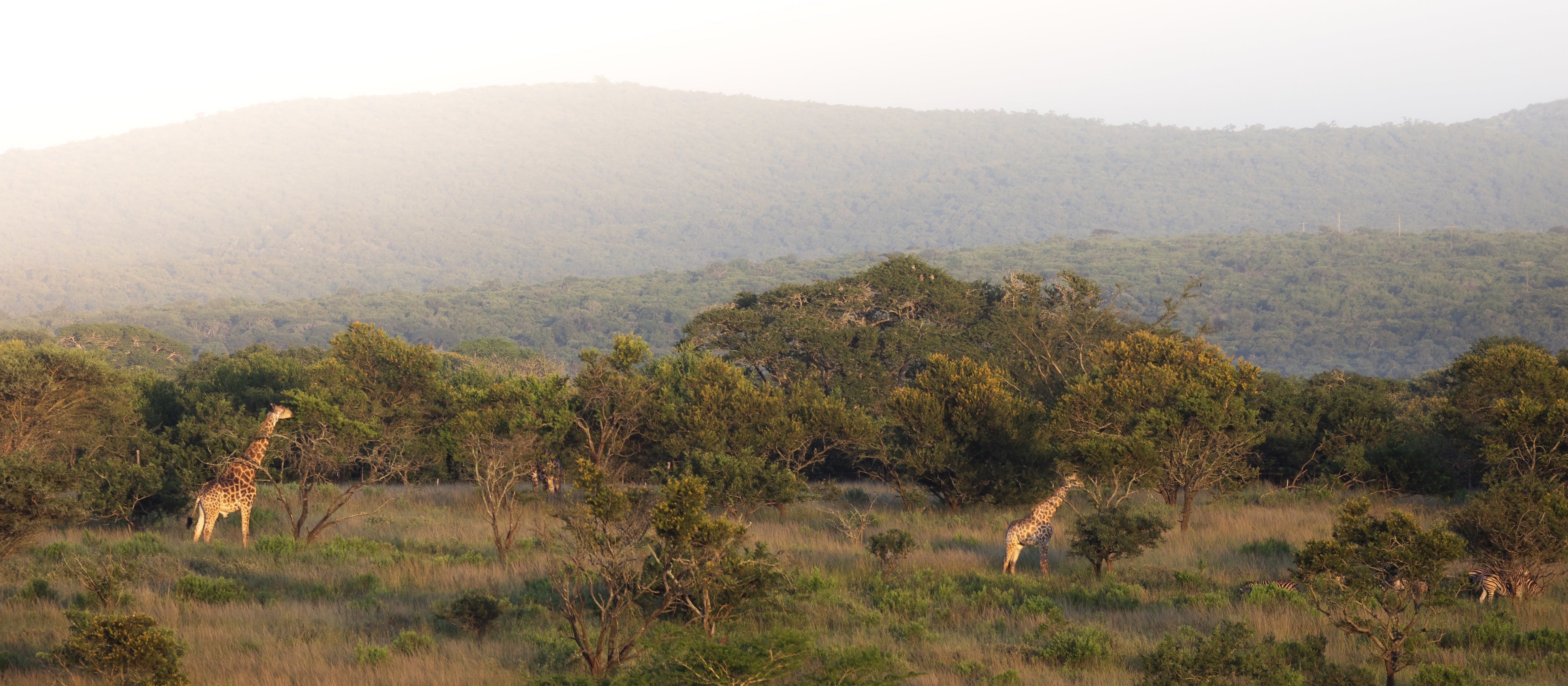 689d38e8dae2f51f16ab478f06fabd216866ba6e