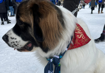 6b316e737910981ec508ba195c74374c78130f04